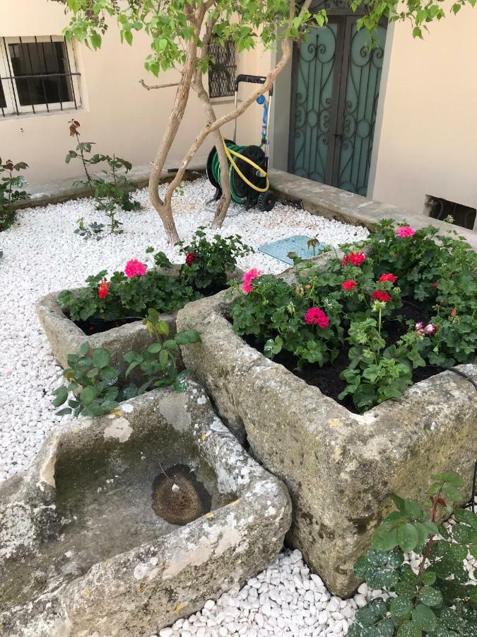 Giardini 82 B&B Gravina in Puglia Exteriör bild